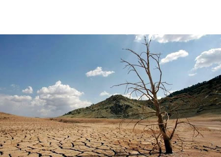 Erosión del suelo. La destrucción de la vegetación contribuye a la erosión del suelo y a la desertización, el impacto sobre los ecosistemas amenaza a muchas especies, algunas de las cuales ya se han extinguido.